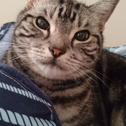 「ラムくん」サムネイル3