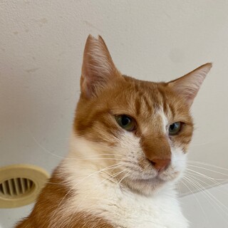 人が大好き♡ゴロゴロスリスリ甘えん坊なタケル君♡