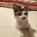 甘えん坊のたいくん