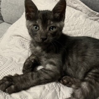 やんちゃで甘えん坊w　元気いっぱいおっくん。