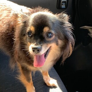 ご家族検討中の為、一時募集を停止します