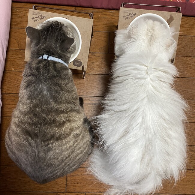 みんみん33のカバー写真
