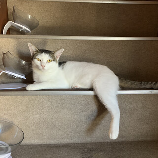 甘えん坊の女の子❤️