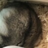 お休み中