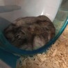 室内温度は26℃だけど…まだまだ少し暑いね