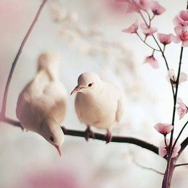 mocchy7のカバー写真