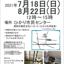 ねこのWa猫譲渡会　静岡市葵区