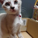 ありがとうございました‼️