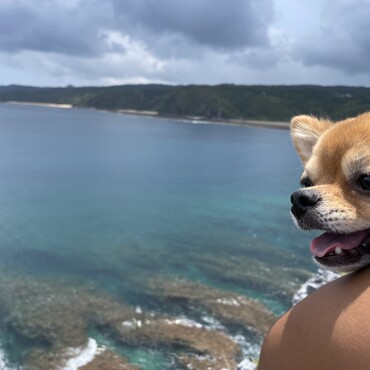 海綺麗だった