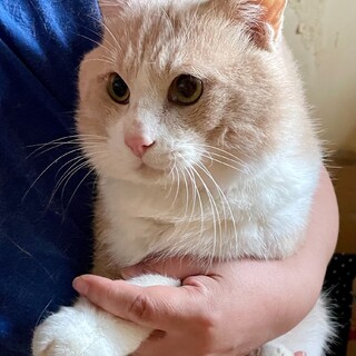 多頭飼育現場の、甘えたい大豆くん
