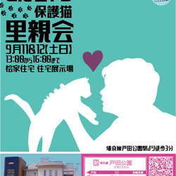 とだニャン保護猫里親会