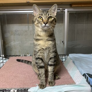 いつも目はあなたを追っています・ゆずくん