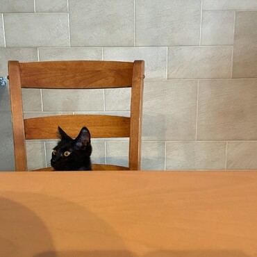 のぞき見ちろり。