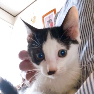 膝から降りてくれません(笑)