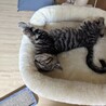 甘えん坊な女の子 サムネイル5
