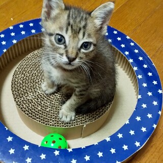 1ヶ月半のヤンチャボーイ