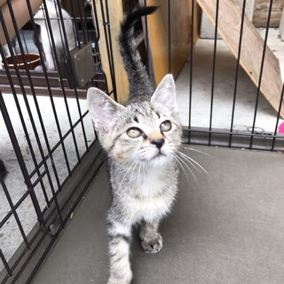 庭で産まれた可愛い男の子！！