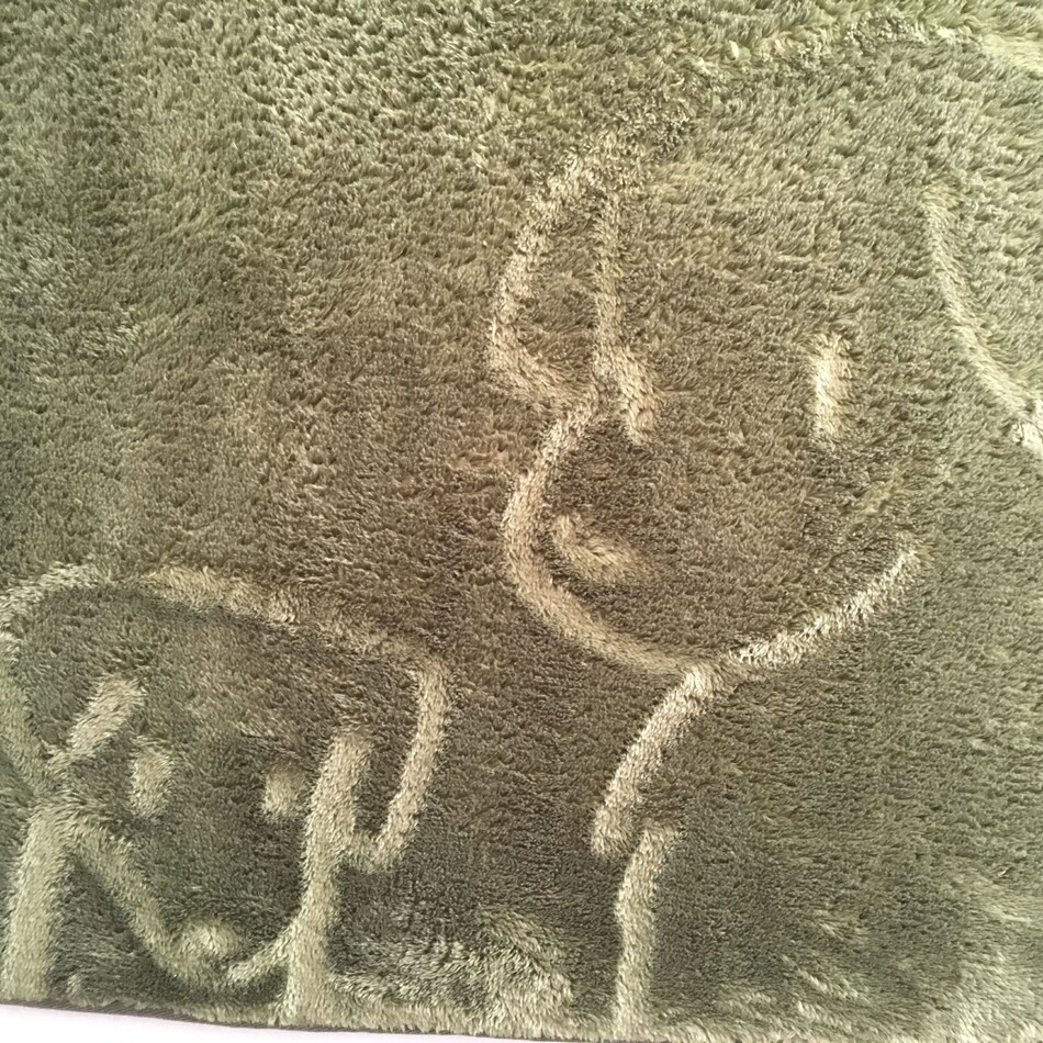 タロウのカバー写真