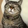 あーぶぅー