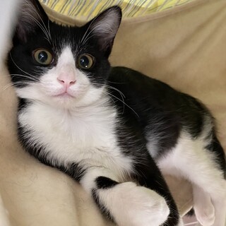 【他サイトにて決定】ななみでーす！たくさん遊んでね