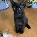 生後3ヶ月の男の子です。