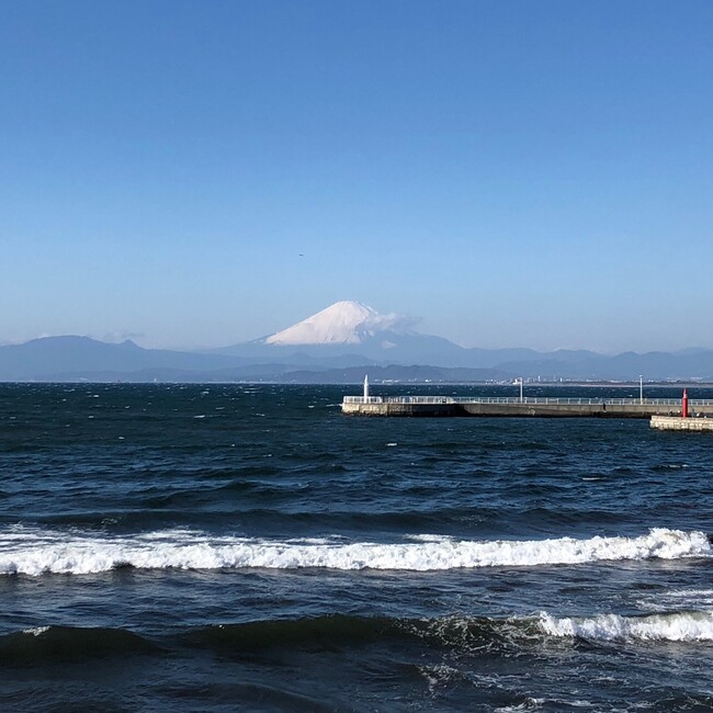 Maaaaayan1のカバー写真