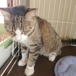 余生を穏やかに