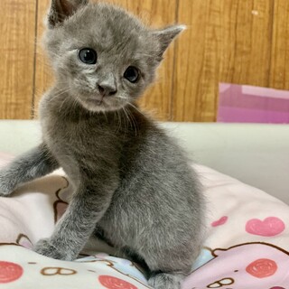 里親さま決まりました☆