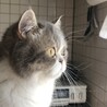 まるい子。