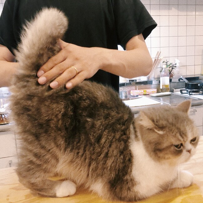まるい子。のカバー写真
