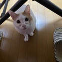 至急！助けてください！