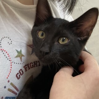 抱っこ好き☆脱力系フニャフニャ甘えん坊