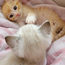 まめちゃんご紹介♡