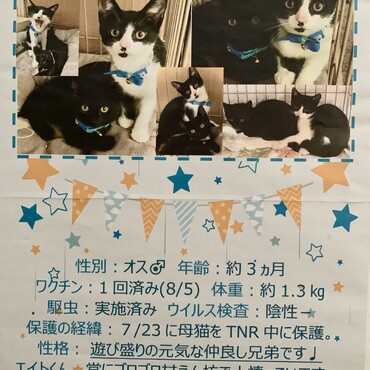 里親さま募集中‼️