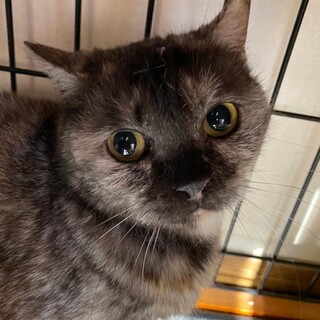 まん丸お目目♡ココちゃん