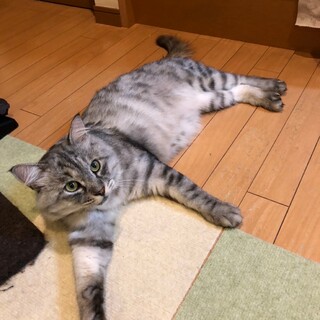 愛嬌たっぷり♡レイくん