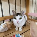 ぼくちゃんという名の女の子♪2〜3歳