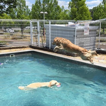 大好きだった水遊び