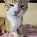 遊ぶの大好き笑顔が可愛い虎太郎くん✩