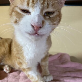 遊ぶの大好き笑顔が可愛い虎太郎くん✩