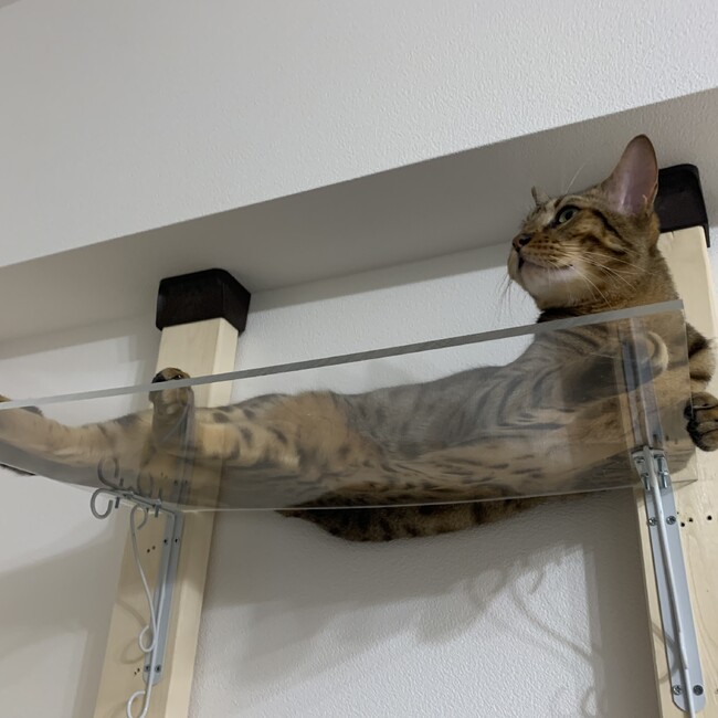 小梨のカバー写真