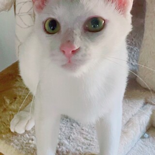 陽気なモリ君