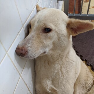 収容期限1週間です