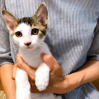 愛嬌たっぷり人馴れ抜群です(^^)