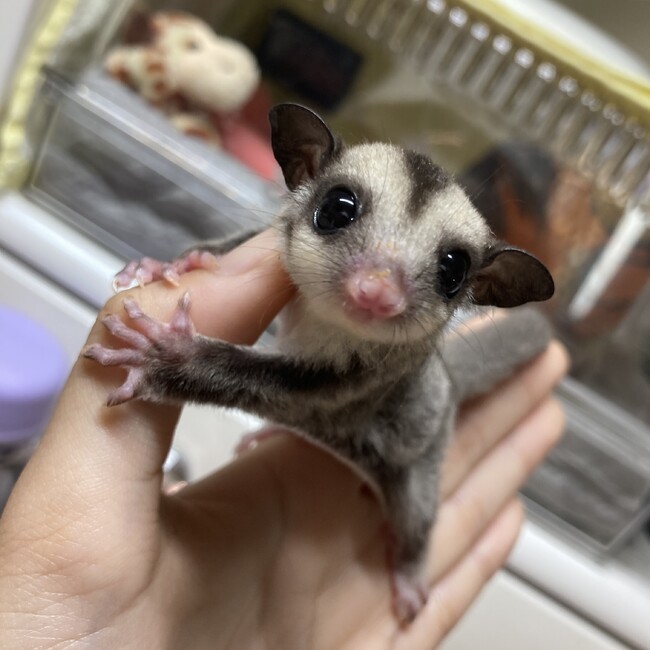 momo0207のカバー写真