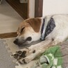 ミョンち