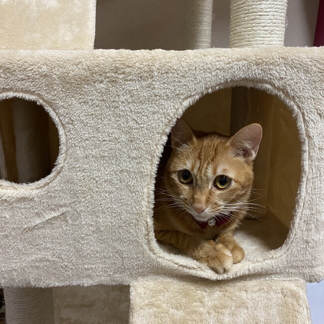 みーつーあおのカバー写真