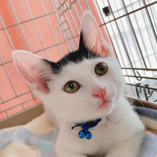 可愛い〰前髪ぱっつんちゃん