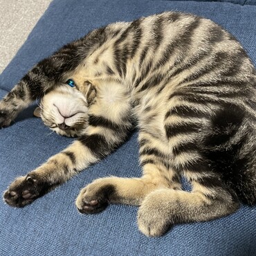の写真