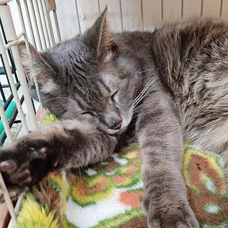 なご SKU： 北名古屋19